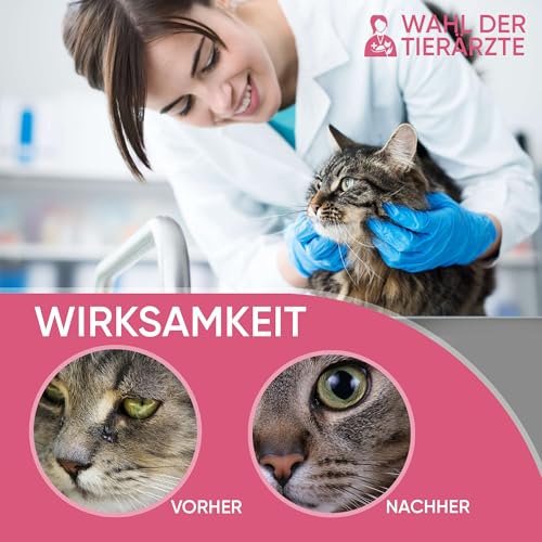 Baviette Katzenpflege – Augenreiniger für Katzen 100 ml, geruchlos & pH-neutral – sanftes Pflegespray zur Augenpflege bei Tränenablagerungen, probiotisch inspiriert mit Mikroorganismen, alkoholfrei