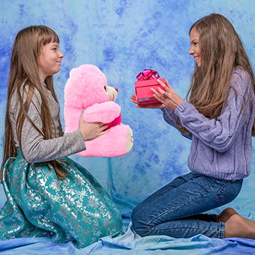 Camirus 13.5" Valentine Teddy Bear Stuffed Animal, Pink Plush Bear With Hug Me Pink Heart Pillow Valentines Day Gift For Kids Boys Girls Couple Valentines Party Favor, Valentines Exchange Gift #TOP1