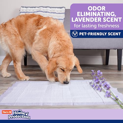 Image of Hartz Home Protection Super Absorbent Odor Eliminating Lavender Scented No Leak Dog Pads, XL 30 Count (Pack of 2)