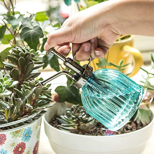 Glazen Plant Mister Spray Bottle, Plant Mister, Vintage Glazen Planten Sprayer Fles, Plant Misters voor Binnen, Watering Glazen Spray Bottle Gieter, Plant Spritzer voor Indoor Outdoor Plants(blauw) - Afbeelding 5