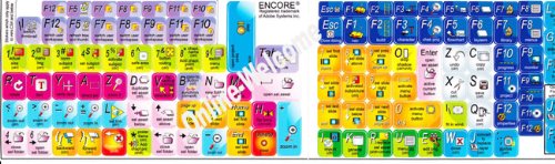 Adhesivo para teclado Adobe Encore para computadora miniatura 2