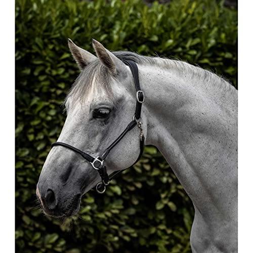 Licol anatomique roulé Premier Equine Hennaroso : cuir souple anti-frottement pour cheval