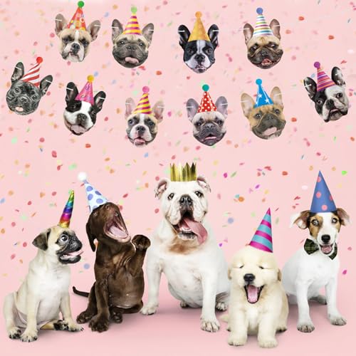 Image of Hooqict Dog Birthday Banner Puppy Themed Party Decorations for Backdrop Funny French Bulldog Garland Dog Party Banner Happy Birthday Sign for Boys Girls Kids 1st 2nd 3rd