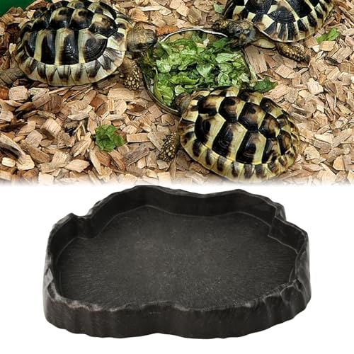 Reptilien Wasserschale, Reptilien Futterstation Harzfelsen Reptilienfutter und Wasser-Futternapf, Reptile Rock Feeder Bowl Schildkröte Eidechse Harz Water Bowl Reptile Terrarium Food Dish (M)