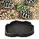 Reptilien Wasserschale, Reptilien Futterstation Harzfelsen Reptilienfutter und Wasser-Futternapf, Reptile Rock Feeder Bowl Schildkröte Eidechse Harz Water Bowl Reptile Terrarium Food Dish (M)