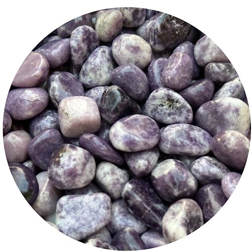 Image of GAF TREASURES 1 /2 LB Lepidolite Tumbled Stones, Polished Lepidolite Gemstone, Lepidolite Healing Crystals (Lepidolite)