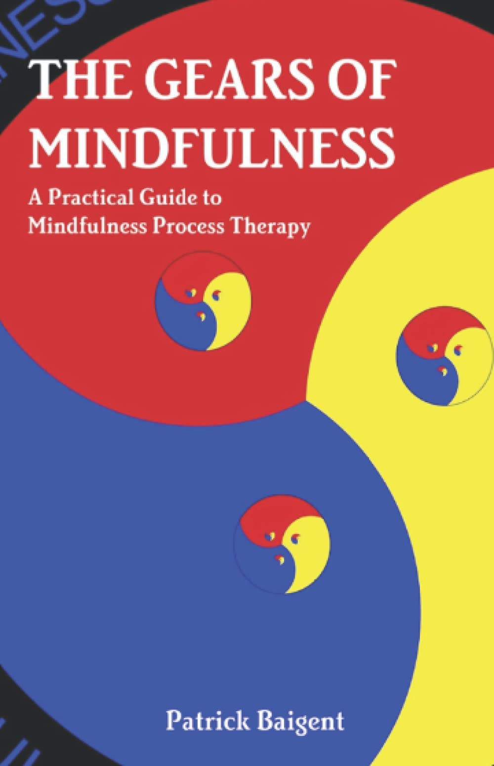 The Gears of Mindfulness: A Practical Guide to Mindfulness Process Therapy (Principles of Mindfulness, Relaxation and Satisfaction)