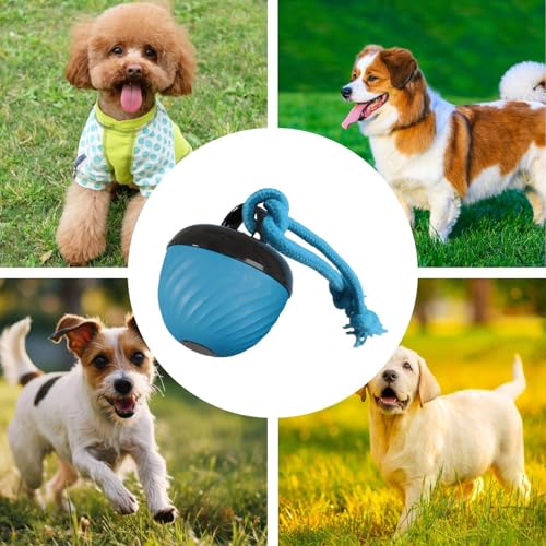 Jouet pour chien intelligent balle interactive pour l'occupation au salon