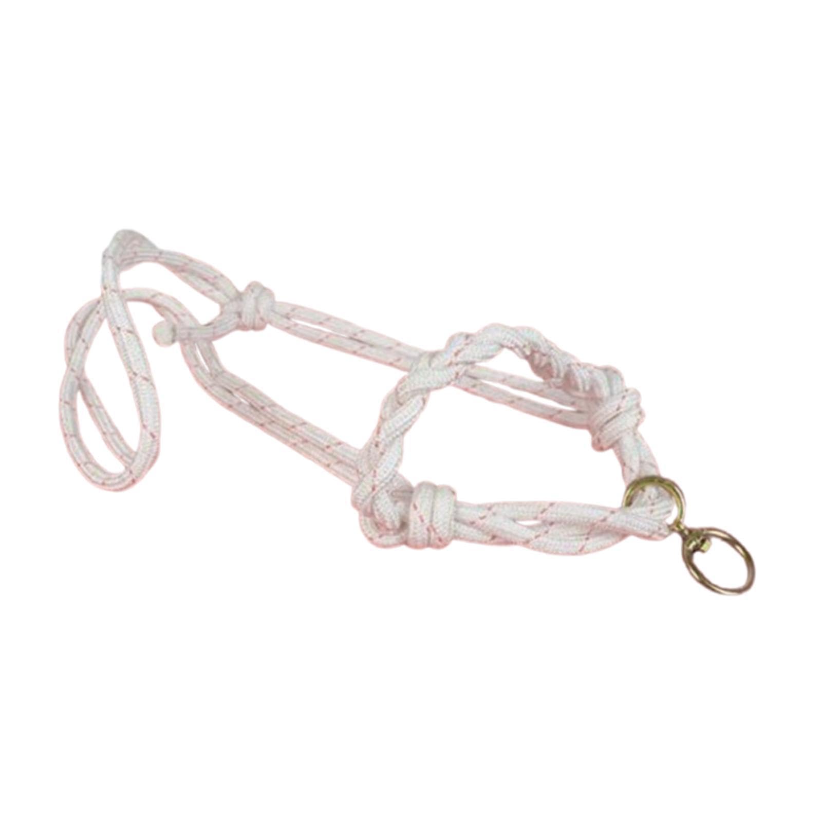 THE STYLE SUTRA® Cow Halter Professional Farms Bull Head Harness Calf Accessories Bull Bridle Braided Large | Sporting Goods | Outdoor Sports | Equestrian | Horse Wear | Halters-image-12