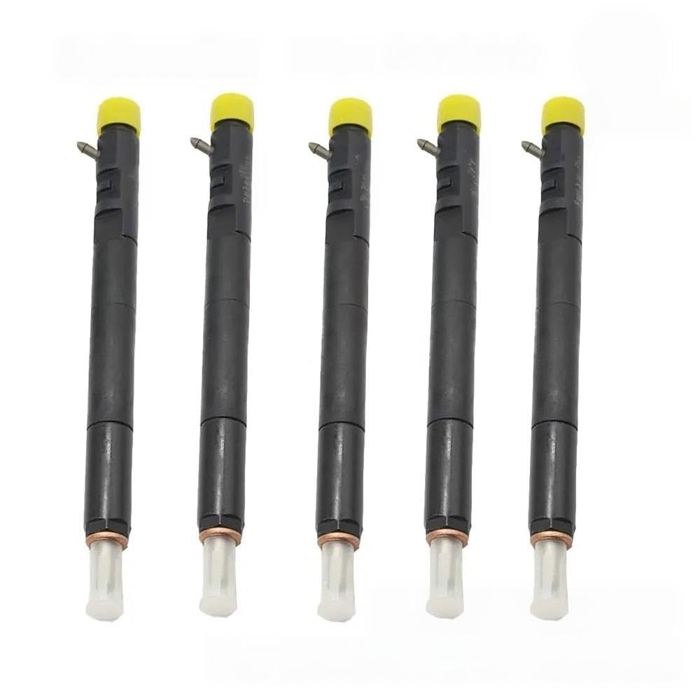 Fuel Injectors Diesel Fuel Injector for SsangYong for Kyron
