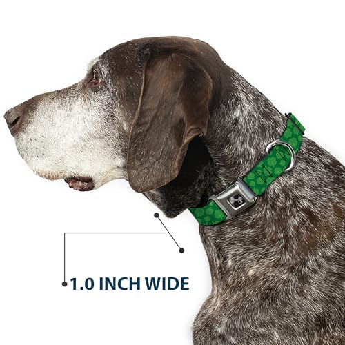 Collier chien Buckle Down pour balades de Saint-Patrick S