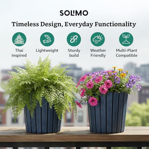 Image of Amazon Brand- Solimo Indoor and Outdoor Round 10 Inch Thai Flower Planter Pot Best for Terrace /Balcony /Home /Office Decor - Set of 2