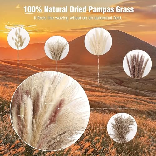 Ramo Natural Seco de Pasto Pampas Boho para Decoración miniatura 6