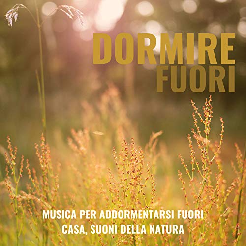 Dormire fuori – Musica per addormentarsi fuori casa, suoni della natura ...