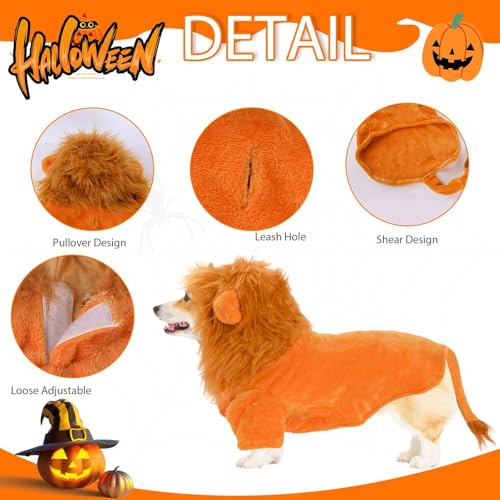 Disfraz de León para Perro NACOCO Talla 3XL miniatura 4