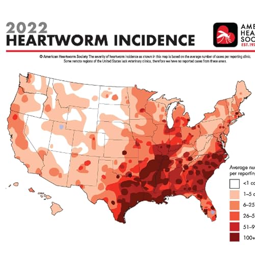 Canine Heartworms