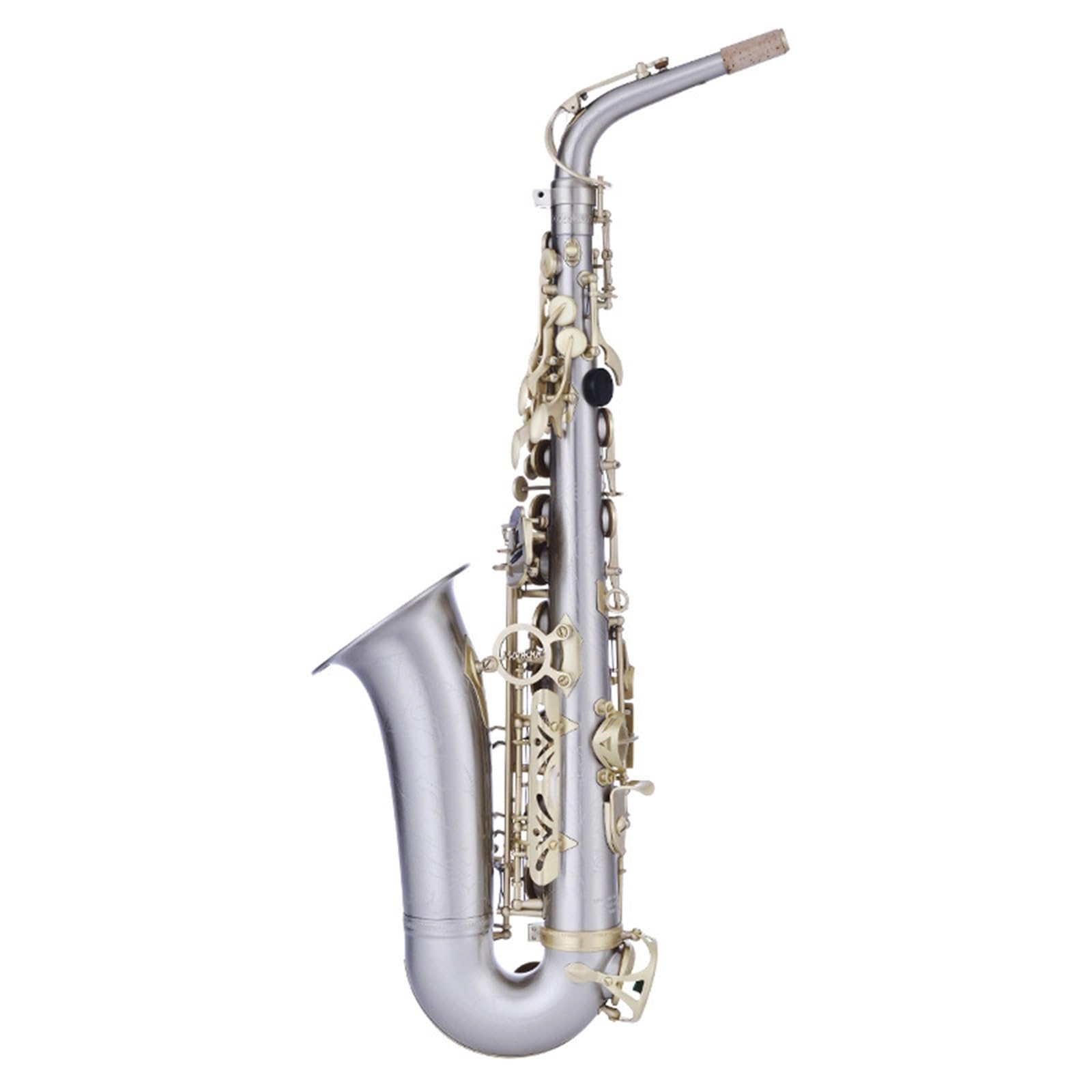 Saxofón Alto En Mi Bemol Para Principiantes En Instrumentos De Viento. Examen De Interpretación Y Calificación Profesional