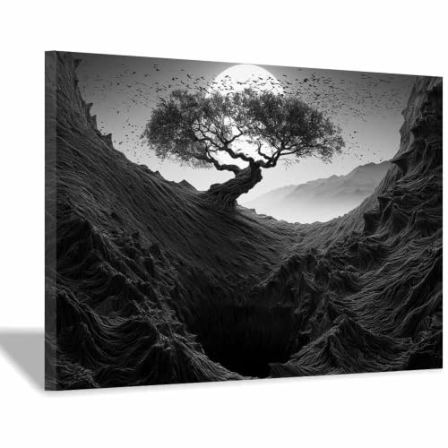 Décoration maison affiche noir et blanc paysage lunaire encadrée