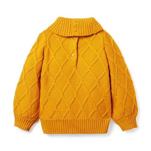 Janie and Jack Girl's Pullover Sweater (Toddler/Little Kids/Big Kids)2