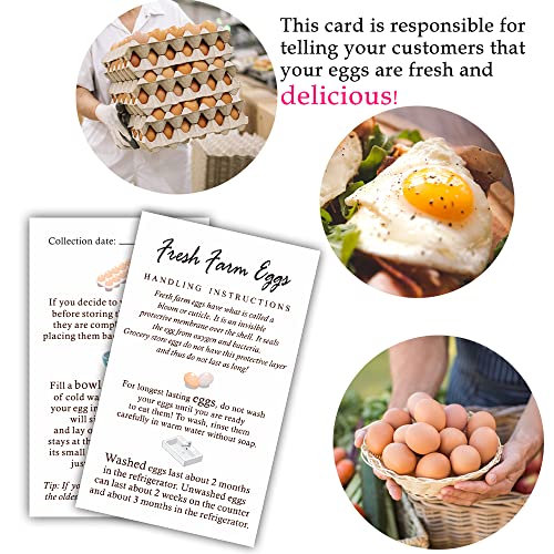 Maosh Fresh Farm Eggs Handling Instructions, Egg Instructions For Eggs, Care Card, Colored Design 50 Pack 2 X 3.5'' Inches Business Card Size #TOP3