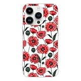 1001coques