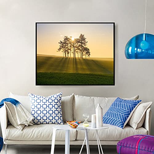 Peinture diamant 5D cristal strass complet grand format 40x100cm paysage de prestige