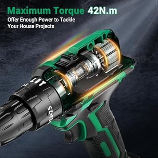 Avvitatore a Batteria 21V, Trapano Avvitatore Batteria con 2 Batterie da 2.0Ah, 42N.m Trapano Percussione, 25+3 Coppie, 2 Velocità, 14 Accessori, Luce a LED Per Fai da te, Casa e Giardino