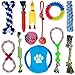 Parner Hundespielzeug, 12 Pcs Seil Ball Hunde Kauen Spielzeug Set Für Kleine große mittelgroßen Hund Interaktives Spielset Unzerstoerbar Baumwollknoten Tau Tier