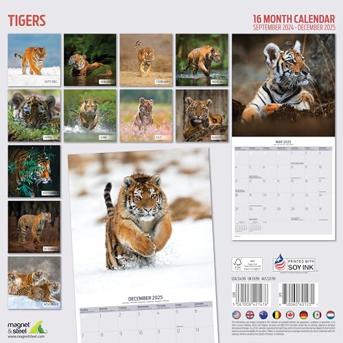 Tiger 2025 Calendar, Various - Image 2