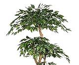 Zoom IMG-2 kunstpflanzen discount com ficus albero Zoom IMG-2 kunstpflanzen discount com ficus albero