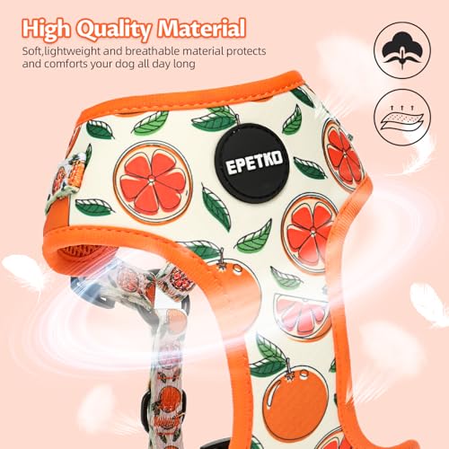 Small Dog Harness and Leash Set of 6, No Pull Soft Lightweight Mesh Puppy Harness, Adjustable Cute Floral Pattern Pet Harness for Small Medium Dogs - Image 5