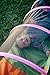 Pacific Play Tents 20407 Kids Peek-A-Boo I See You 6' Crawl Tunnel - Multicolor