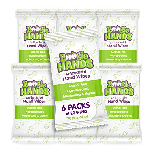 Hand Sanitizer Wipes by Boogie Wipes, Alcohol-Free, Hypoallergenic and Moisturizing Aloe, Boogie Hand Wipes for Adults and Kids, 6 Packs of 20 (120 Total Wipes)