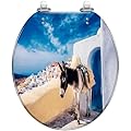Round Toilet Seat Church donkey Oia Santorini island Greece sunny day Resin Toilet Seat Slow Quiet Close with Quick-Release Hinges Toilet Seat with Cover Easy to Clean Install