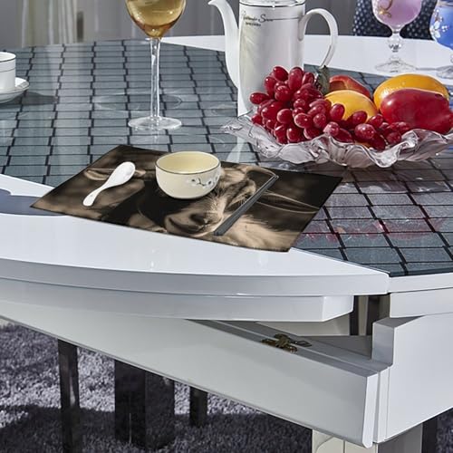 Sets de table chèvre noirs et blancs protecteurs et antidérapants