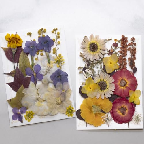 Flores Secas Prensadas para Manualidades 40 Piezas miniatura 2