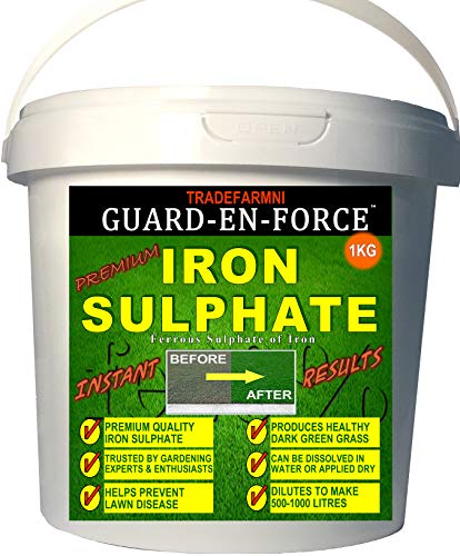 Solfato di ferro, di alta qualità, barattolo da 1