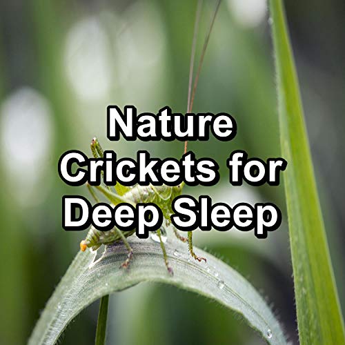 Play Nature Crickets for Deep Sleep by Nature Noise, Cricket Sounds