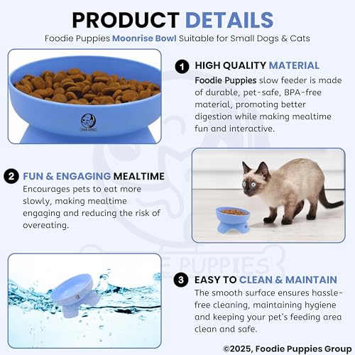 Image of Foodie Puppies Cat Food and Water Raised Feeder - 300ml (Moonrise Bowl) | Durable, Anti Vomiting, Healthy Cat Bowl for Persian Cats Prevent Tipping Over | Elevated Feeder for Cats and Small Dogs