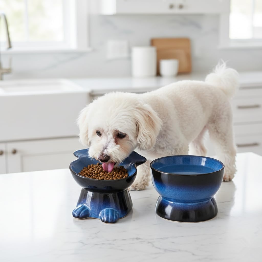 Nihow Dog Food & Water Bowl Set: Elevated Ceramic Dog Bowls for Medium/Small Size- Food Safe Raised Puppy Bowls - Vivid Blue Pet Bowl for Protecting Pet's Spine (Set of 2)