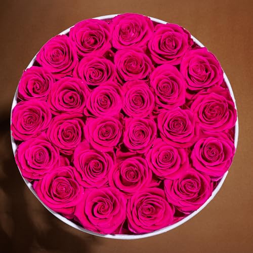 27 Flowers in a Luxury Suede Box, Birthday Gifts for Women, Preserved Flowers, Mothers Day Roses Gift for Mom, Hot Pink