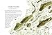 A Charm of Goldfinches and Other Wild Gatherings: Quirky Collective Nouns of the Animal Kingdom