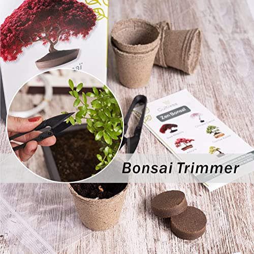 Tijeras de poda U para bonsái 4.1" 12 piezas miniatura 7