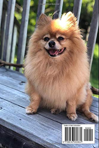 Pomeranian Mom: A 6x9 Lined Notebook, Journal Gift for Pomeranian Lovers and Dog Lovers - Image 2