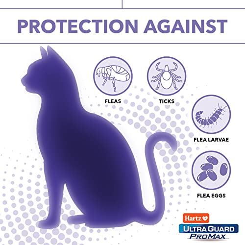 Hartz UltraGuard ProMax Flea & Tick Collar for Cats I 14 Months Protection I Soft & Comfortable | Flea & Tick Prevention… - Image 6