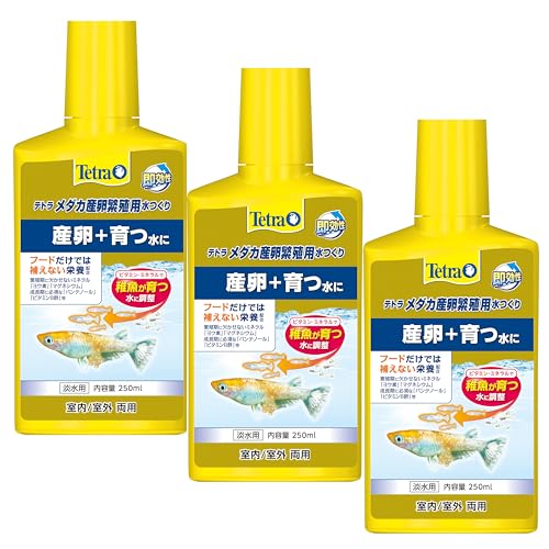 eg_JYɐBp 250ml 3{Zbg