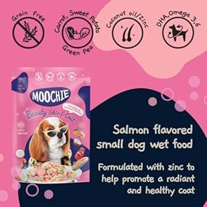MOOCHIE Moist Canine Meals – Superfood Collection of Smooth Canine Meals – Duck, Salmon & Rooster Liver Flavors – No Added Preservatives or Manmade Flavoring -12 x 2.5 oz Pouch