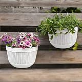 2Pcs Resin Wall Planters Hanging Flower Plant Pots Vertical Wall Mount Planter Pot Flower Basket for