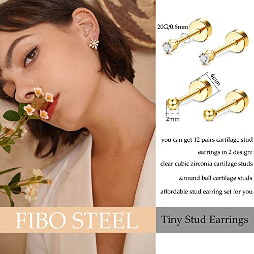 FIBO STEEL 12 Pairs 20G Cartilage Earrings Stud for Women Men Stainless Steel Tiny 2mm & 3-8mm Studs CZ Round Ball Flatback Earring Set2