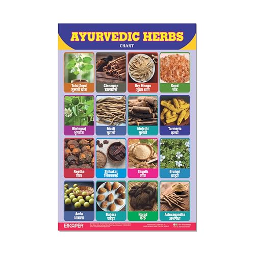 Image of ESCAPER Ayurvedic Herbs Educational Charts for Kids Learning (11.5 x 17.5 inches), Study Material, Learning Books, Posters